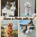 Load image into Gallery viewer, Oil Paintings - Pets by great artists!
